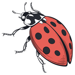 Obraz premium Illustration of a ladybug with black spots