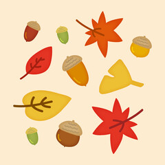 どんぐり　枯葉