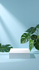 Minimalist product display with tropical plants