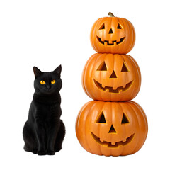 Spooky black cat sits next to a tall stack of carved jack o lantern pumpkins isolated on transparent background