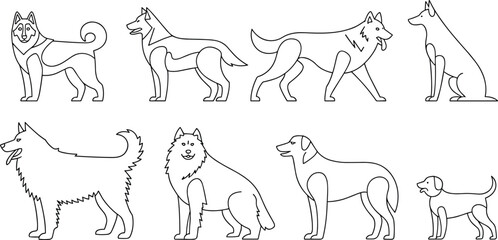 Dog breed line art illustration, outline vector drawing, domestic pet animals, cute puppy, sitting, standing, walking poses