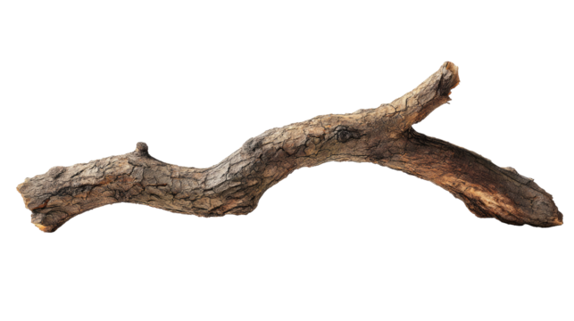 A weathered,  curved branch,  natural wood grain