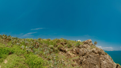 Naturaleza desde la quebrada al mar 
