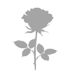 Silhouette of a single rose with leaves and stem.