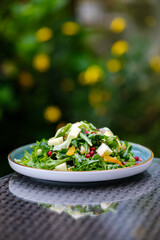 Plate of Fresh Vegetable Salad with Pomegranate Seeds and Cheese Cubes