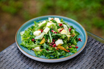 Plate of Fresh Vegetable Salad with Pomegranate Seeds and Cheese Cubes