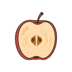Obraz premium Cross-section of a fresh red apple with seeds displayed – stock vector flat illustration
