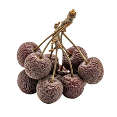Ultra close-up of a small cluster of dried, shriveled purple-brown cherries with gnarled stems and dust on a transparent studio background with copy space, conveying forgotten beauty and decay concept
