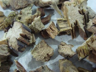 Dendrobium moniliforme, called Seokgok in Korea, is a medicinal orchid valued in traditional medicine for stomach health, yin nourishment, vitality, and longevity support.