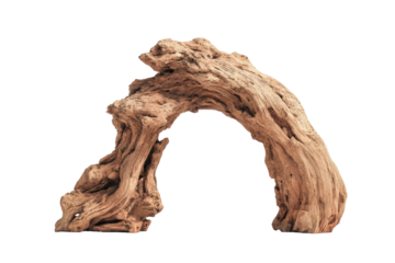 A piece of driftwood, shaped like a natural arch.  Light tan color, intricate wood grain