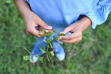 Child’s hands exploring a leafy garden plant in Central Florid