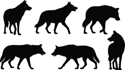 Black wolf silhouette, wild animal vector, wolf standing and walking, wildlife nature design, forest predator art, animal silhouette collection, outdoor wildlife