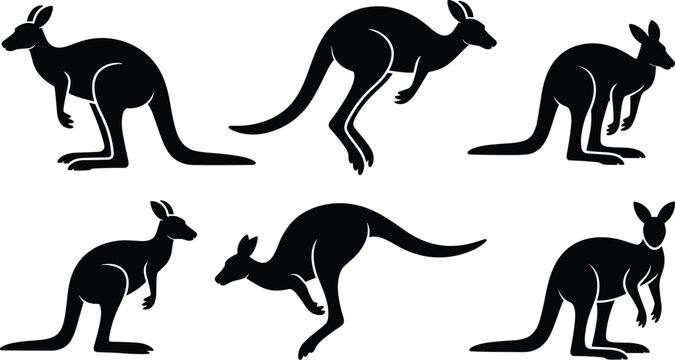 Kangaroo silhouette vector collection, Australian wildlife clipart, jumping animal design, black kangaroo illustration, nature symbol, wild marsupial artwork