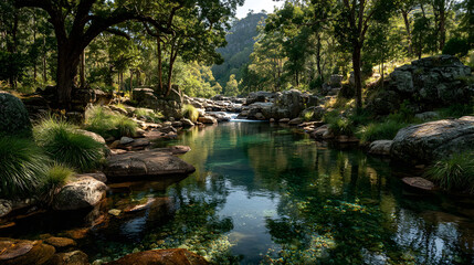 Fototapeta premium Tranquil river flowing through a lush green forest landscape 