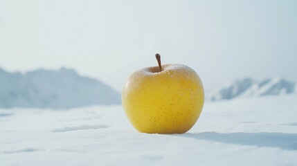 Frost-covered apple on snow with mountains in background