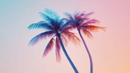Fototapeta premium Two palm trees in a serene tropical setting during daytime