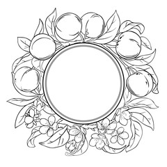 peach, fruit, raw, piece, nectarine, whole, frame, border, round, wreath, copy space, circular frame, circle, stroke, hand drawn, contour, line drawing, drawn line, line art, outline, sketch, thin, bl