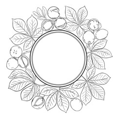 Mongongo Branch with Nuts and Leaves Outline Round Frame. Organic natural nutritional healthy food ingredient, vegetarian diet product. Vector isolated for design or decoration.