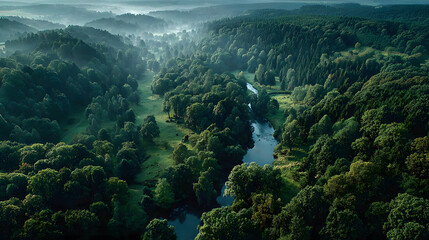 Aerial view of a lush green forest and river winding through the landscape 