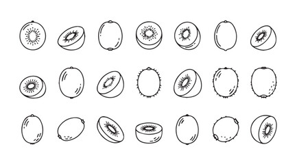 Collection of hand drawn kiwi fruit slices and whole fruit silhouette