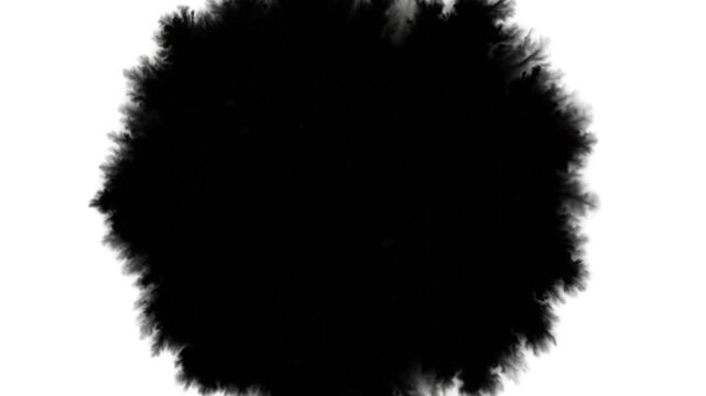 close up of a black and white