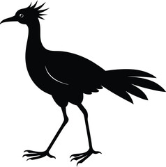 A big single bird vector silhouette on transparent background