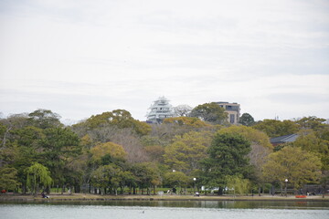高台に見えるお城