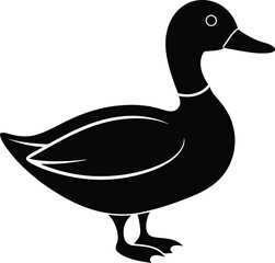 duck on a white vector on transparent background