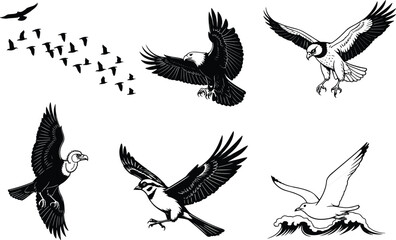 Birds in flight vector set, eagle, hawk, vulture, songbird, gull, flock formation, wildlife silhouettes, soaring wings, hunting pose, nature scene