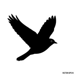 Silhouette of a bird in flight with wings spread wide