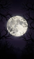 Full Moon with Bare Tree Branches on Dark Sky