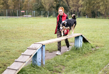 Woman with red hair training a dog on an agility ramp in a grassy park, showcasing teamwork and skill development in a vibrant outdoor setting