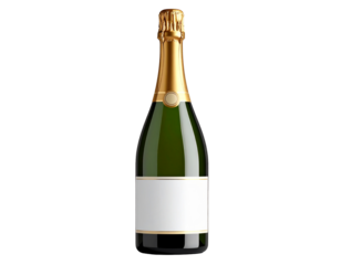 Elegant Minimalistic Champagne Bottle Design