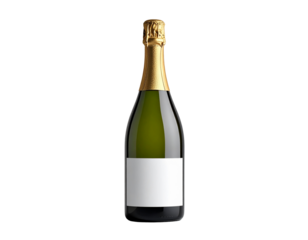 Elegant Minimalist Champagne Bottle Design