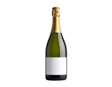 Elegant Minimalist Champagne Bottle Design