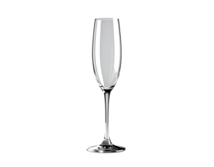 Elegant Champagne Flute in High Resolution Vector Style