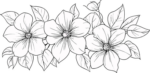 Delicate hand drawn sketch of blooming apple blossoms with leaves in black and white outline