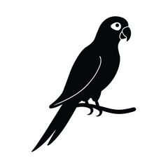 Elegant black silhouette of a parrot perched on a tree branch