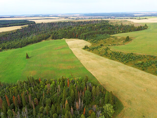 Aerial view landscape with wheat fields and forest on sunny day