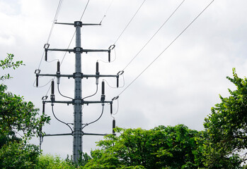 Electricity transmission pole with power lines in nature.