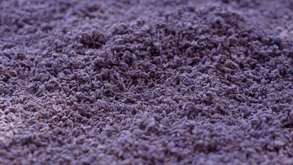 Lavandula Essential Oils Industry. Essential oils require distillation of lavender buds after harvest