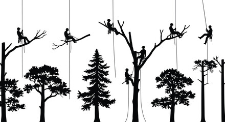 Silhouette of professional arborists climbing, cutting, and pruning trees using rope access, tree service, safety harnesses, arboriculture, outdoor work