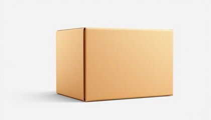 Obraz premium Standard Brown Cardboard Box for Shipping and Storage