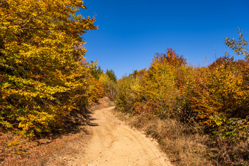 beautiful autumn landscapes in the Romanian mountains, Fantanele village area, Sibiu county, Cindrel mountains, Romania
