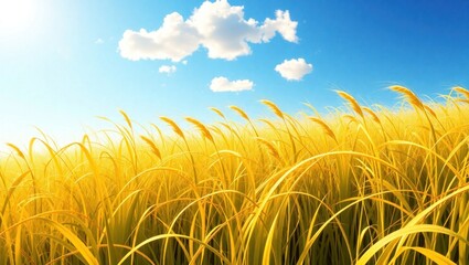 Sunlit Golden wheat field with blue sky and clouds