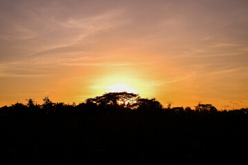 A stunning evening sunset with vibrant golden hues illuminating the silhouette of distant trees, creating a serene and tranquil ambiance in nature.