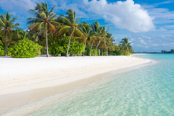 Paradise tropical maldive white sand beach with palms © Vasily Makarov