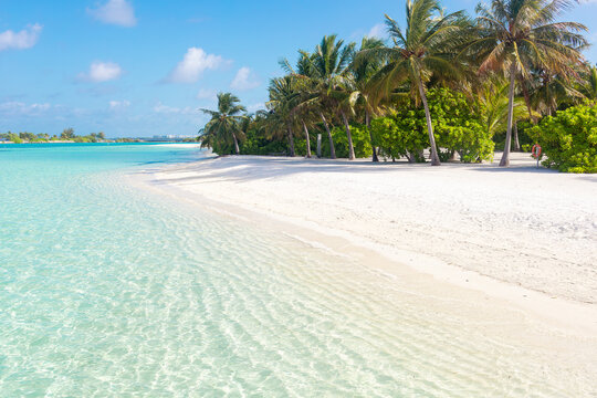 Paradise tropical maldive white sand beach with palms