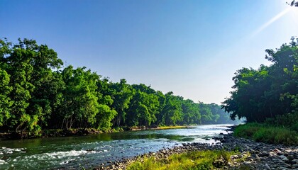 Calm River Flowing Through Lush Green Forest in Bangladesh under Clear Daylight