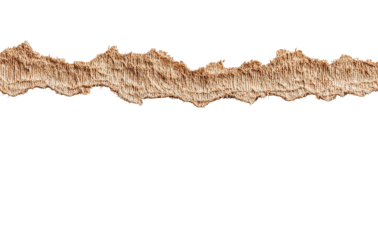 Beige textured ridge,  irregular,  horizontal